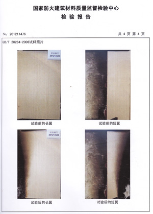 免费在线观看麻豆视频燃烧性能检验报告(中)